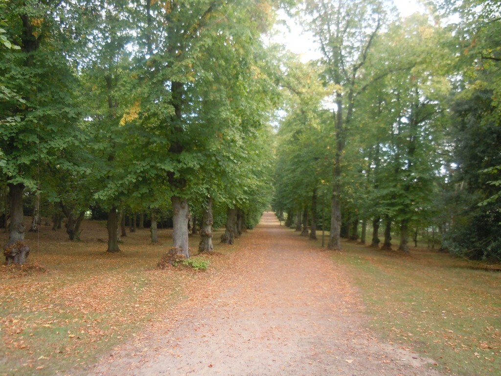 Coopers Hill nature reserve, a 5-minute walk from our house.