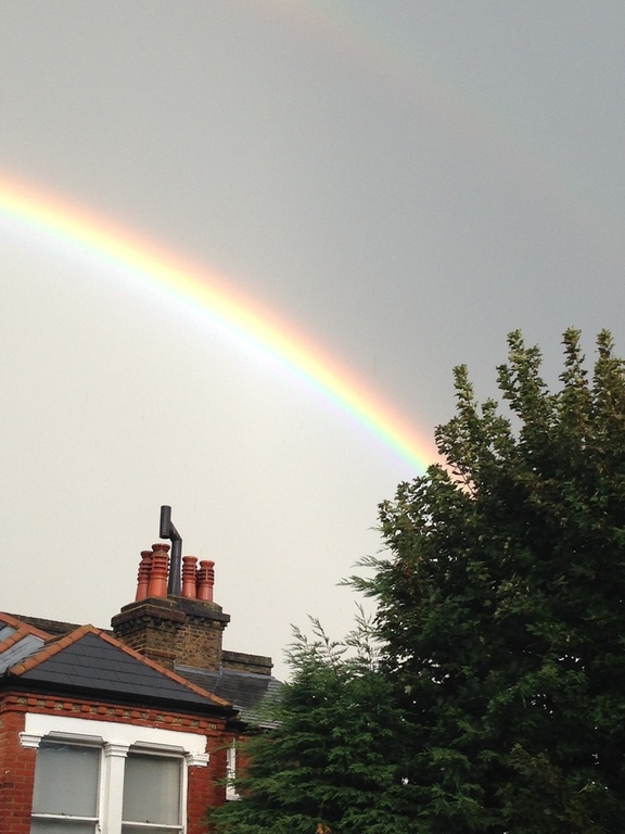 A rainbow across the street
