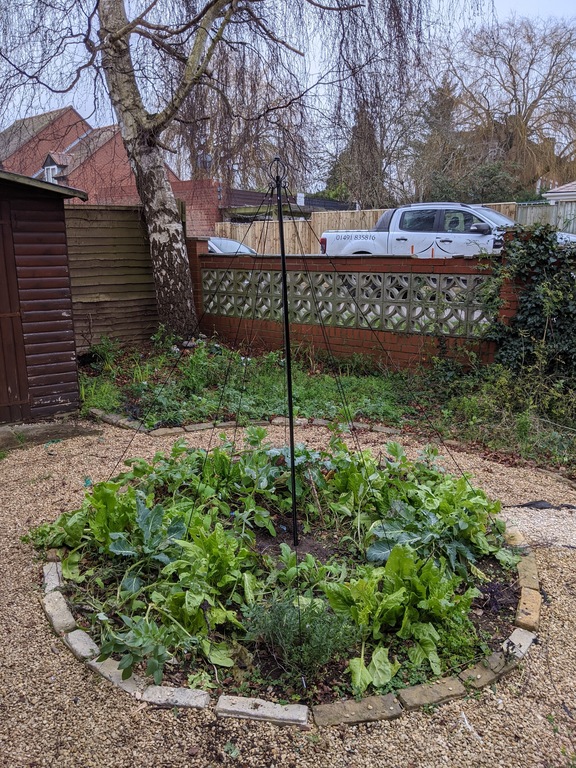 Potager in the front garden