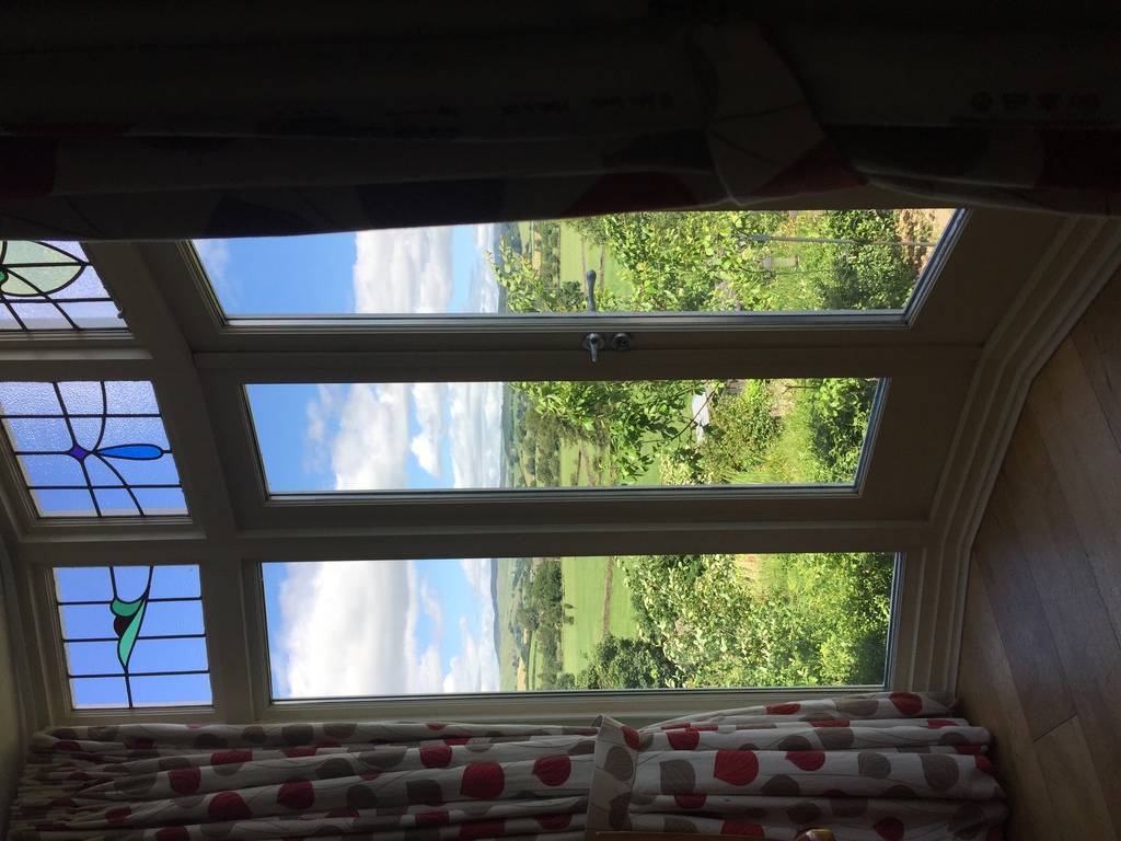 View from the Dining Room 