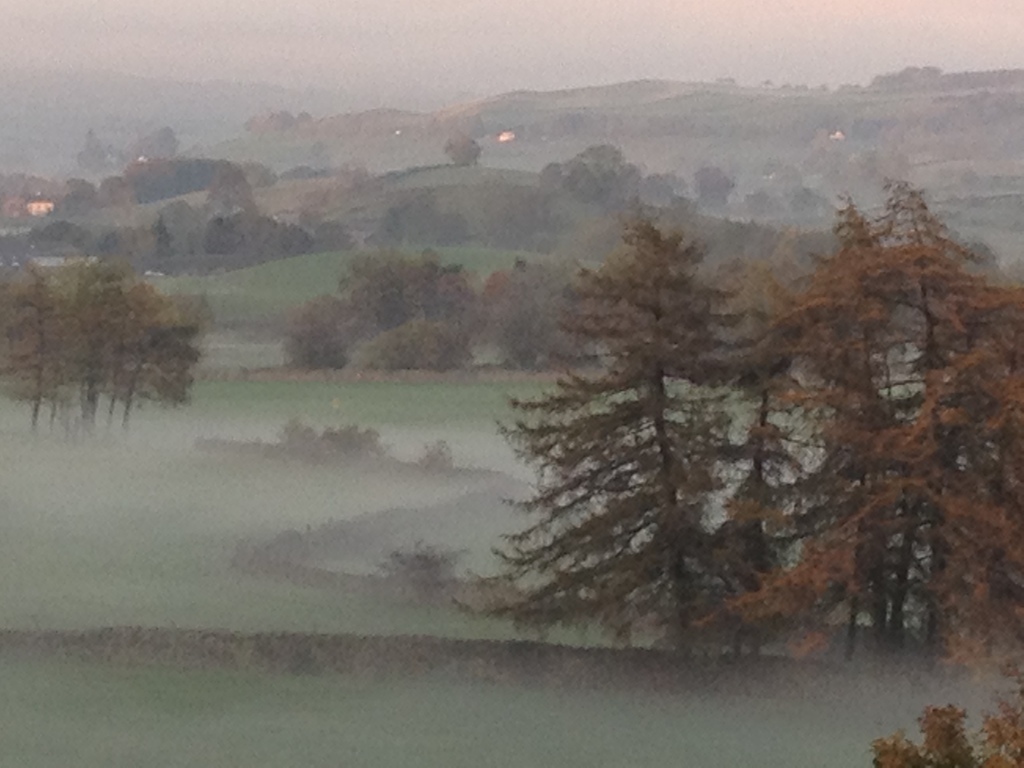 Winter view from the house 