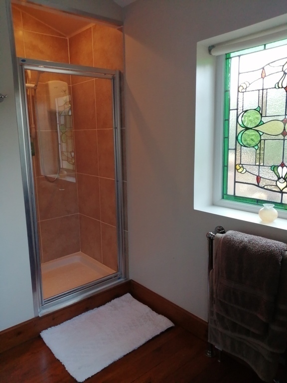 Downstairs Bathroom Shower