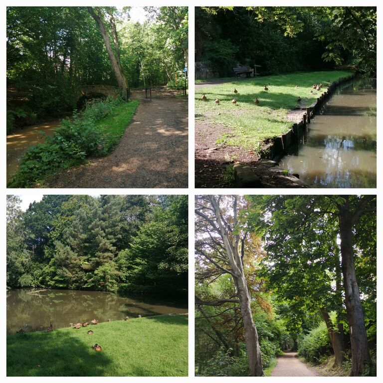 Lade Braes Walk, St Andrews