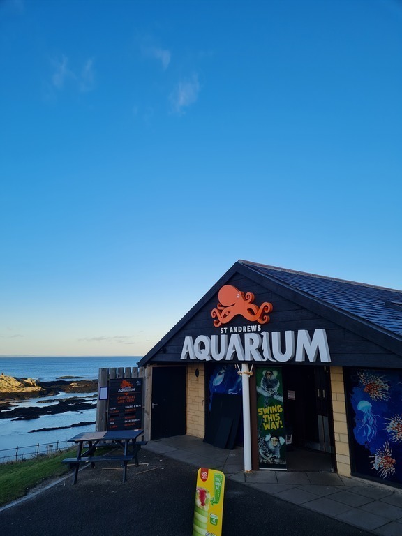 St Andrews Aquarium 