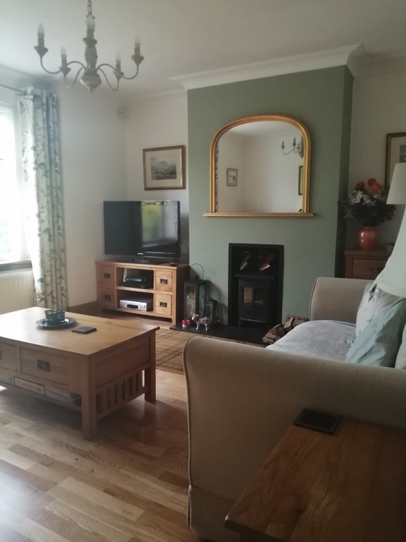 Living room with TV and wood burner
