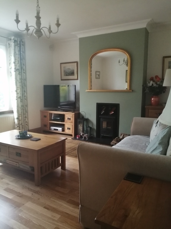 Living room with TV and wood burner