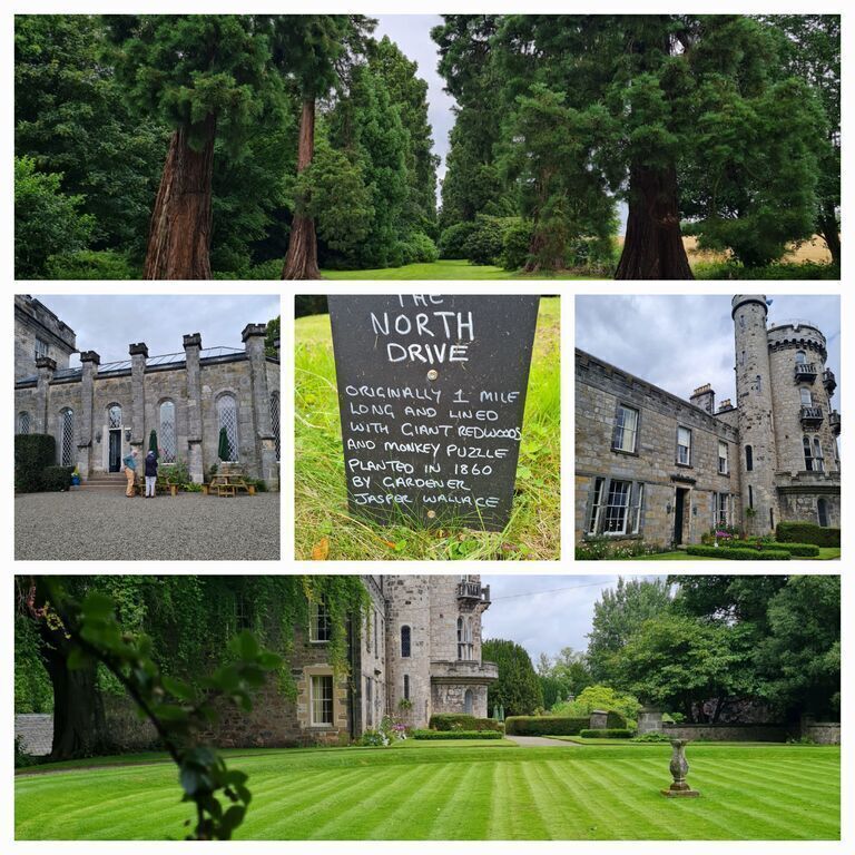 Dunimarle Castle grounds