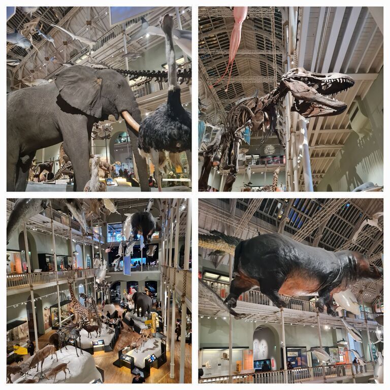 National Museum Edinburgh (free entry)