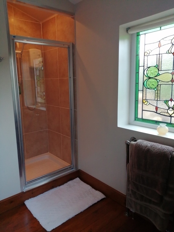 Downstairs Bathroom Shower