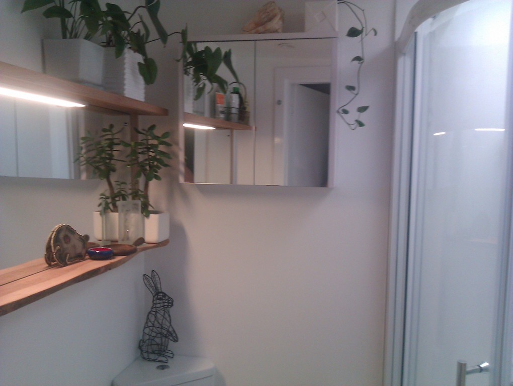 shower room upstairs