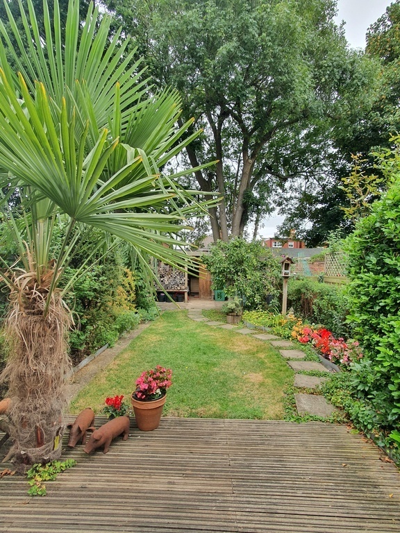Rear garden and storage shed