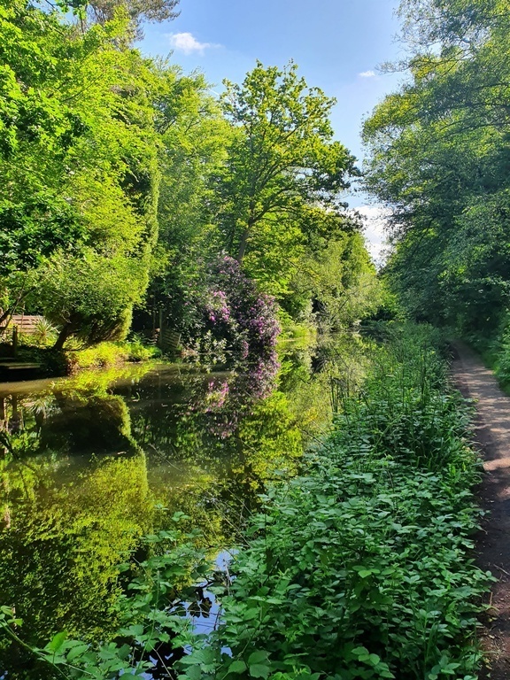 Views on the Basingstoke canal walking/cycling towpath