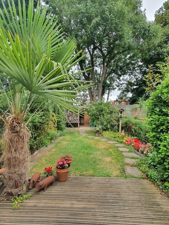 Rear garden and storage shed
