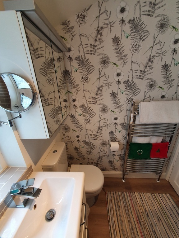 Main bathroom, basin, dual flush toilet, heated towel rail