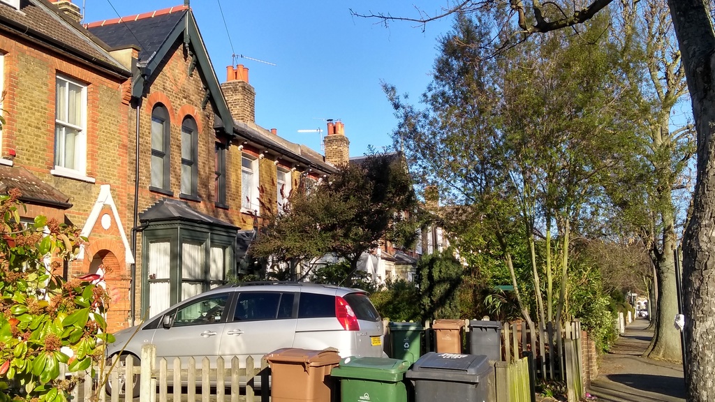 Houses in our street