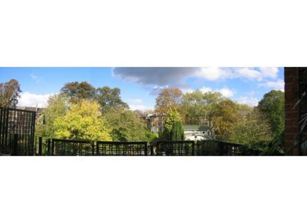 View from the terrace