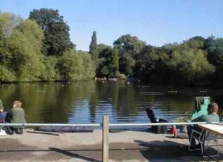Lakes on Hampstead Heath