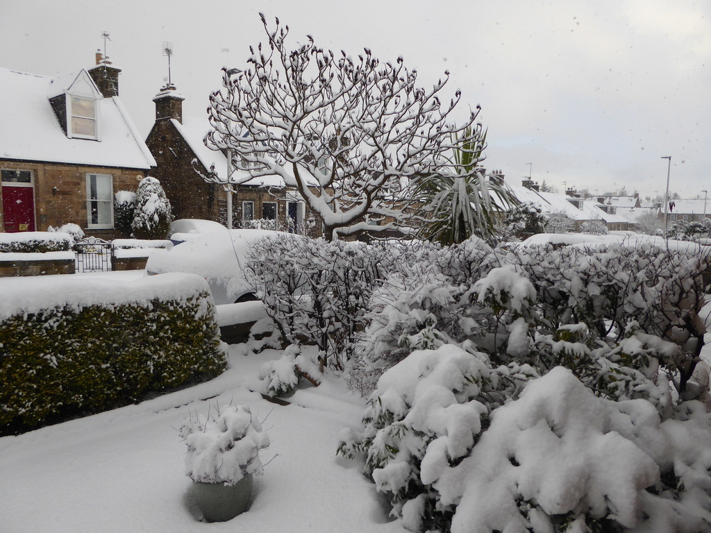 February 2021 - unusually snowy