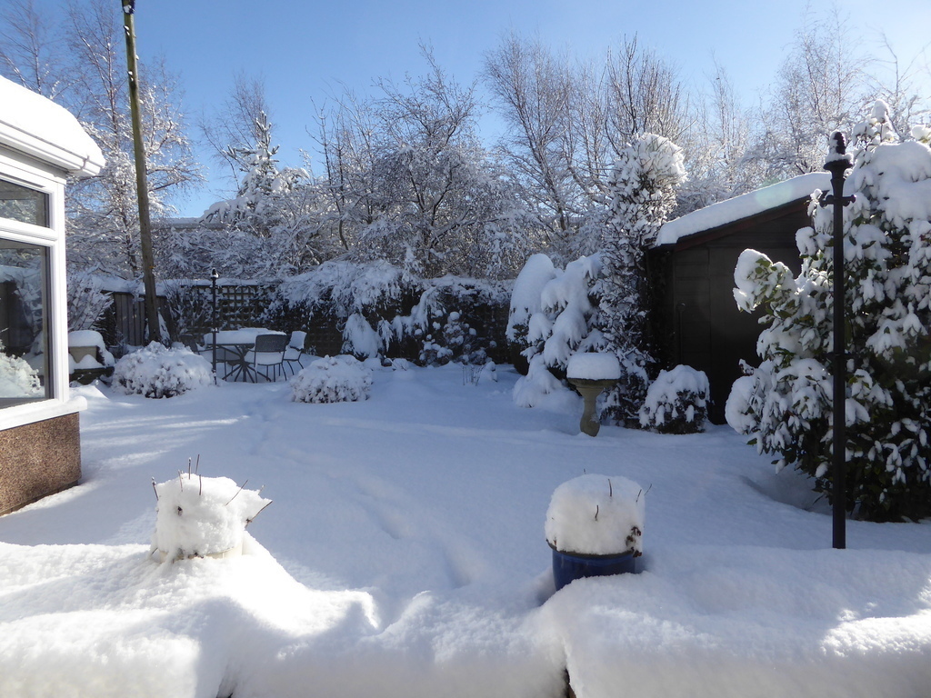 February 2021 - unusually snowy