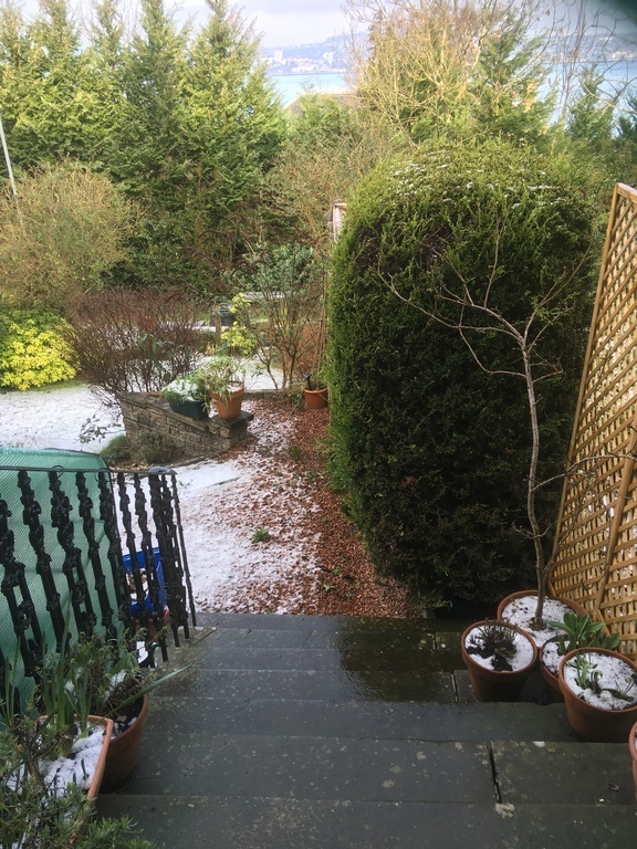 View from steps to garden at front of House.