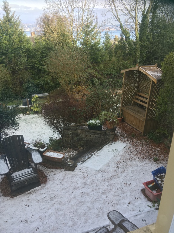 Garden at front of house