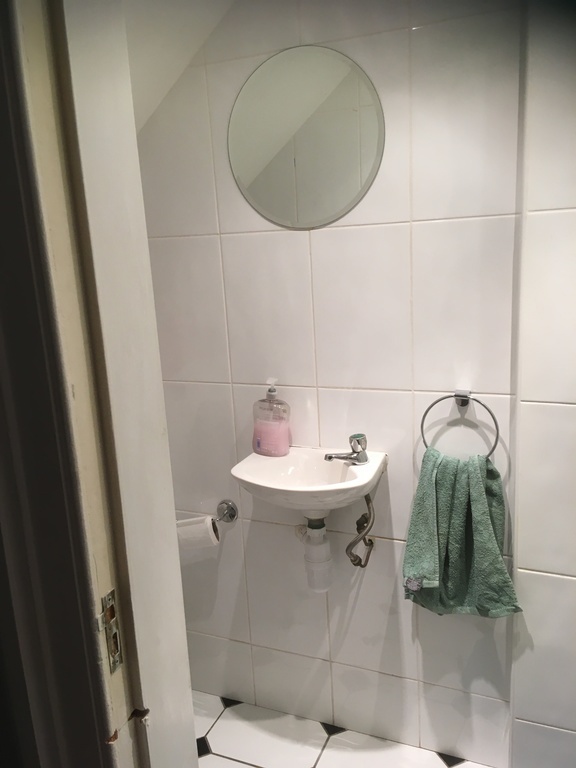 Downstairs Shower Room/Toilet