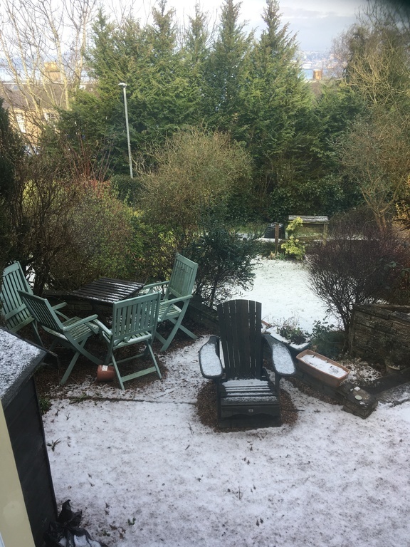 Garden at Front of House