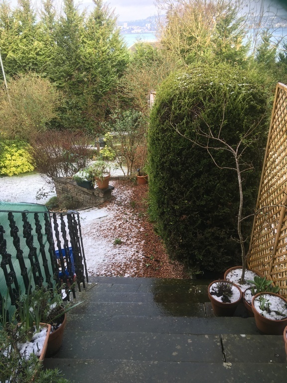 View from steps to garden at front of House.