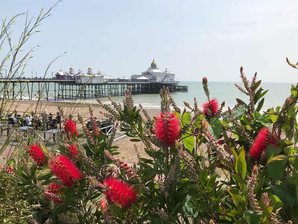 Walk along the seafront 