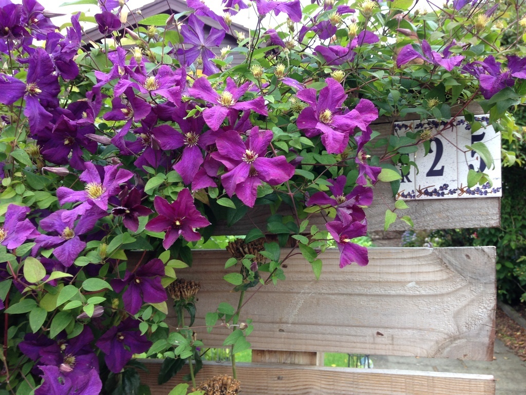 Entrance to our home 