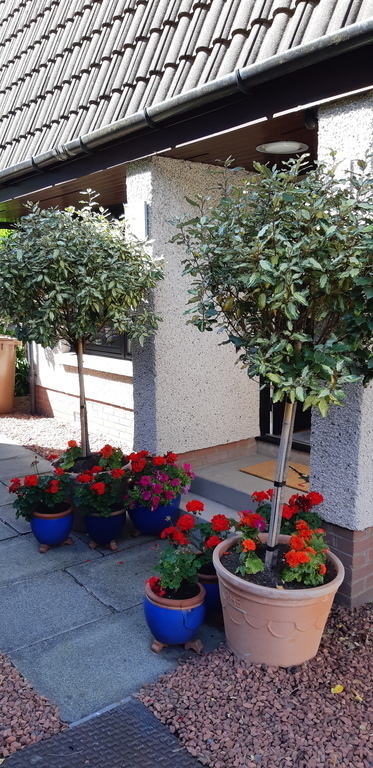 Our 'floral' entrance