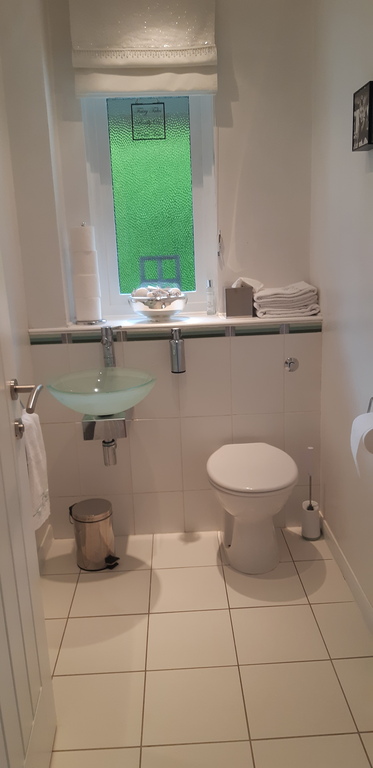 Downstairs WC