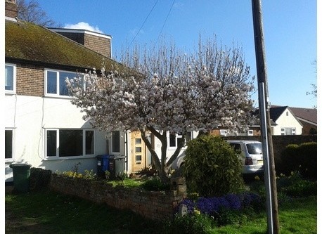 Our home from the outside