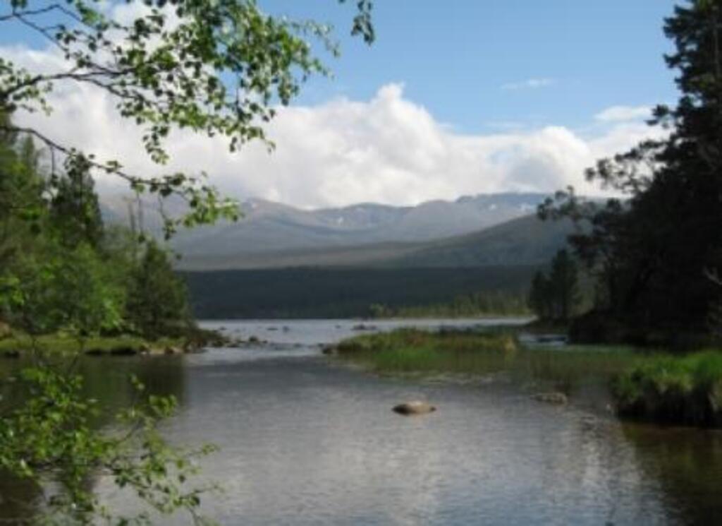 Loch Morlich