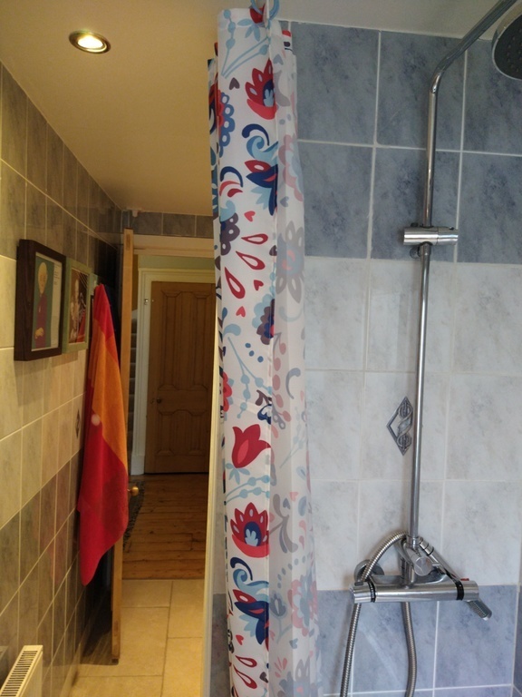 Shower room/ bathroom  downstairs