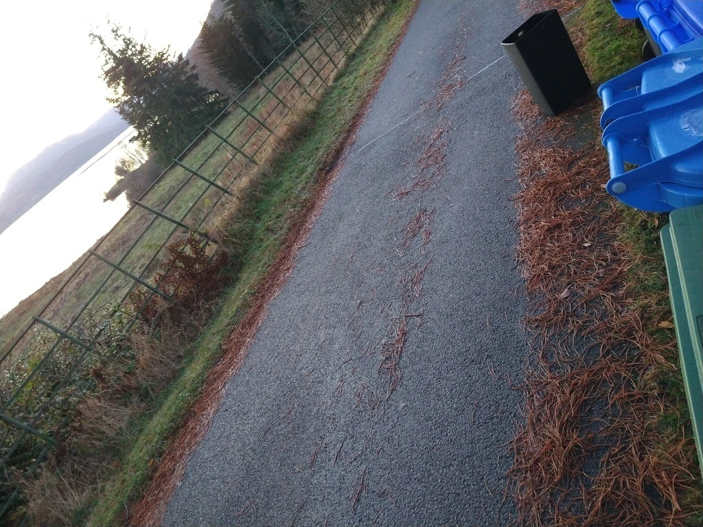 Letter Steading/ Putting your bins out