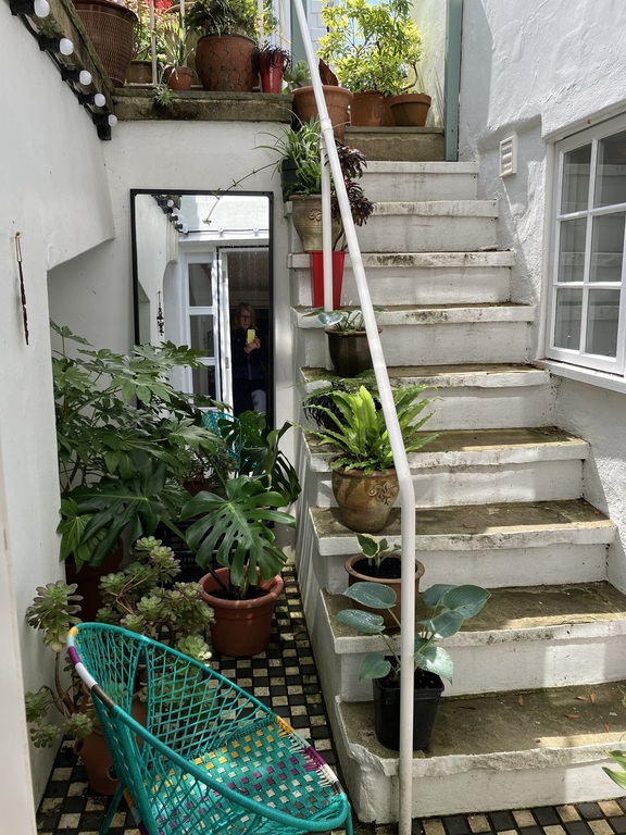 courtyard accessible from the lower floor, with steps to back garden
