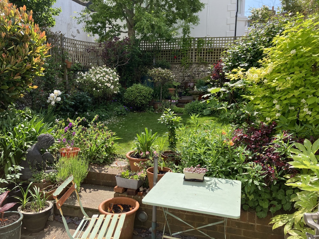 Our back garden in May