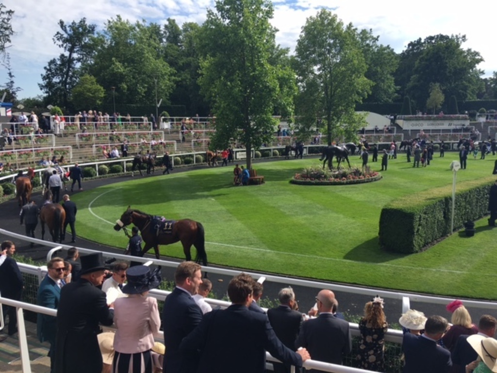 Royal Ascot Races