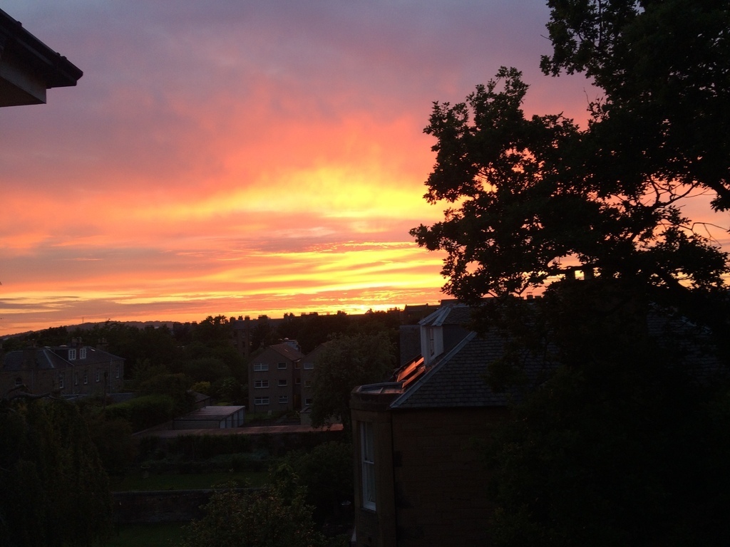 View from the hall window
