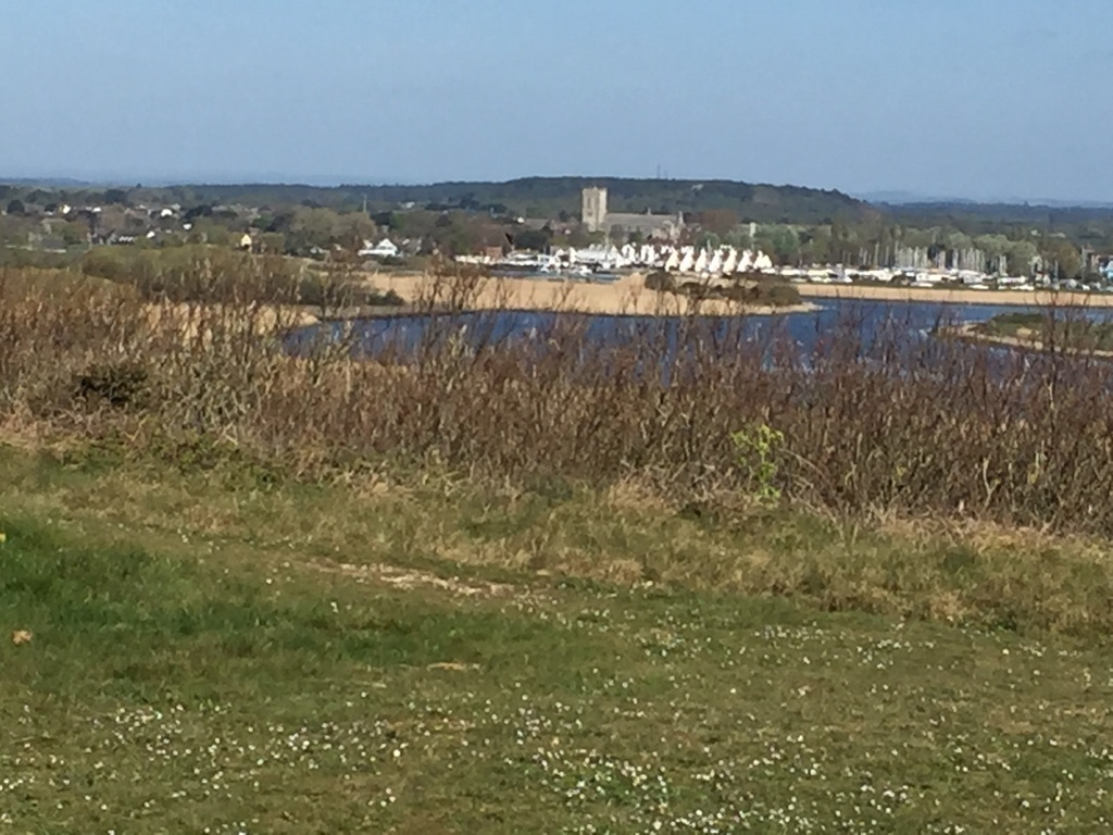 View of Christchurch