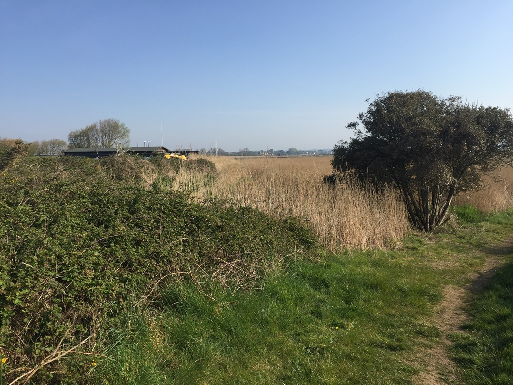 One of many walks on Hengistbury Head