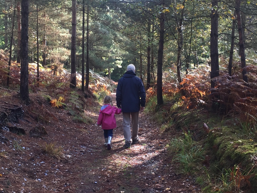 The New Forest is on your doorstep.