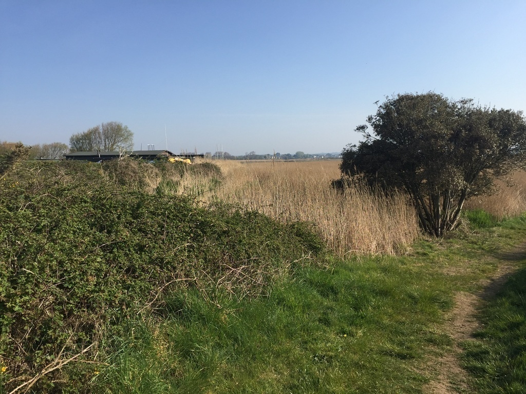 One of many walks on Hengistbury Head