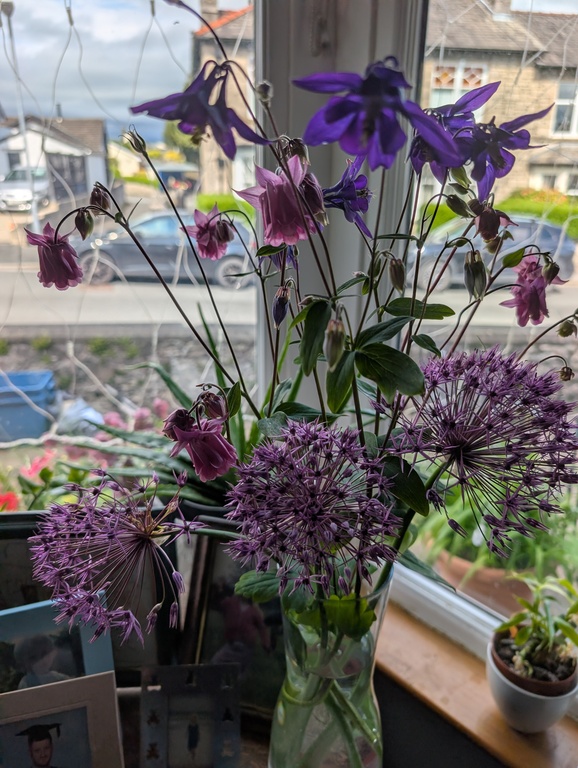 From  the Garden