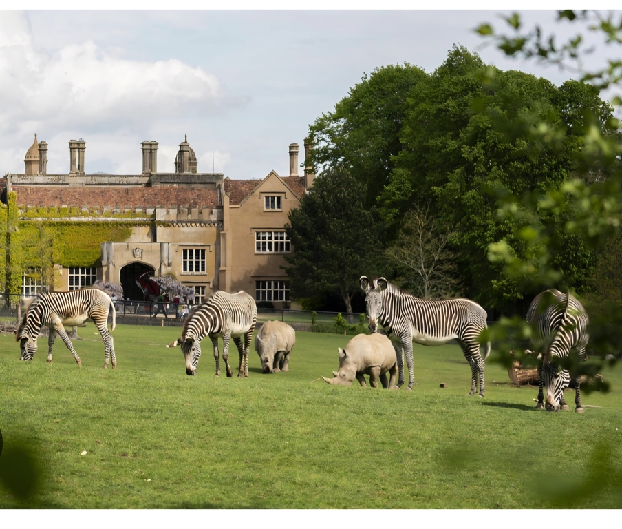 Marwell Zoo - 30 mins drive
