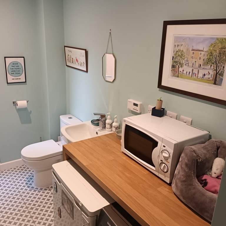 Downstairs WC and utility