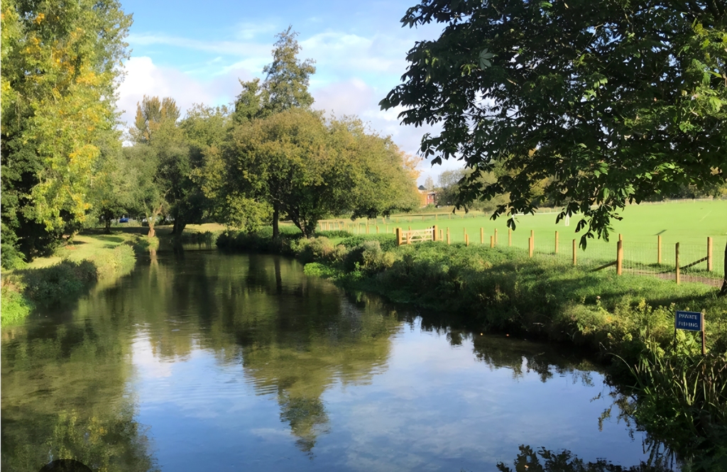 Winchester Water Meadows for a beautiful walk