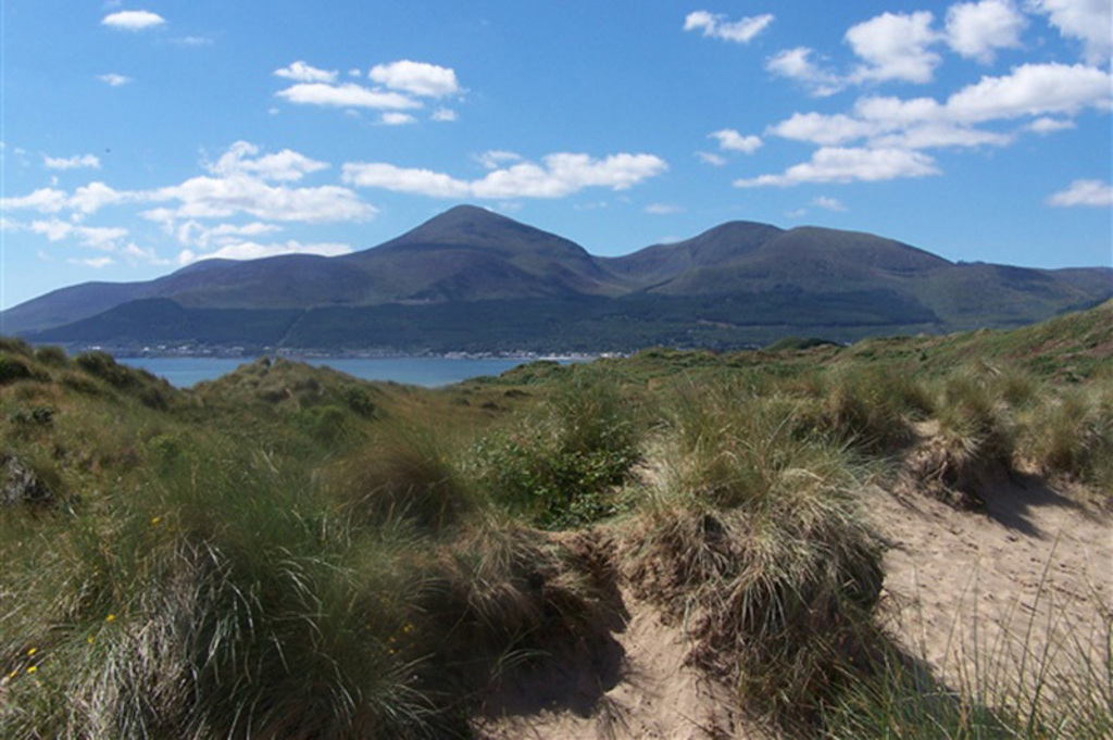 Murlough Nature Reserve 10 mins walk from our house.