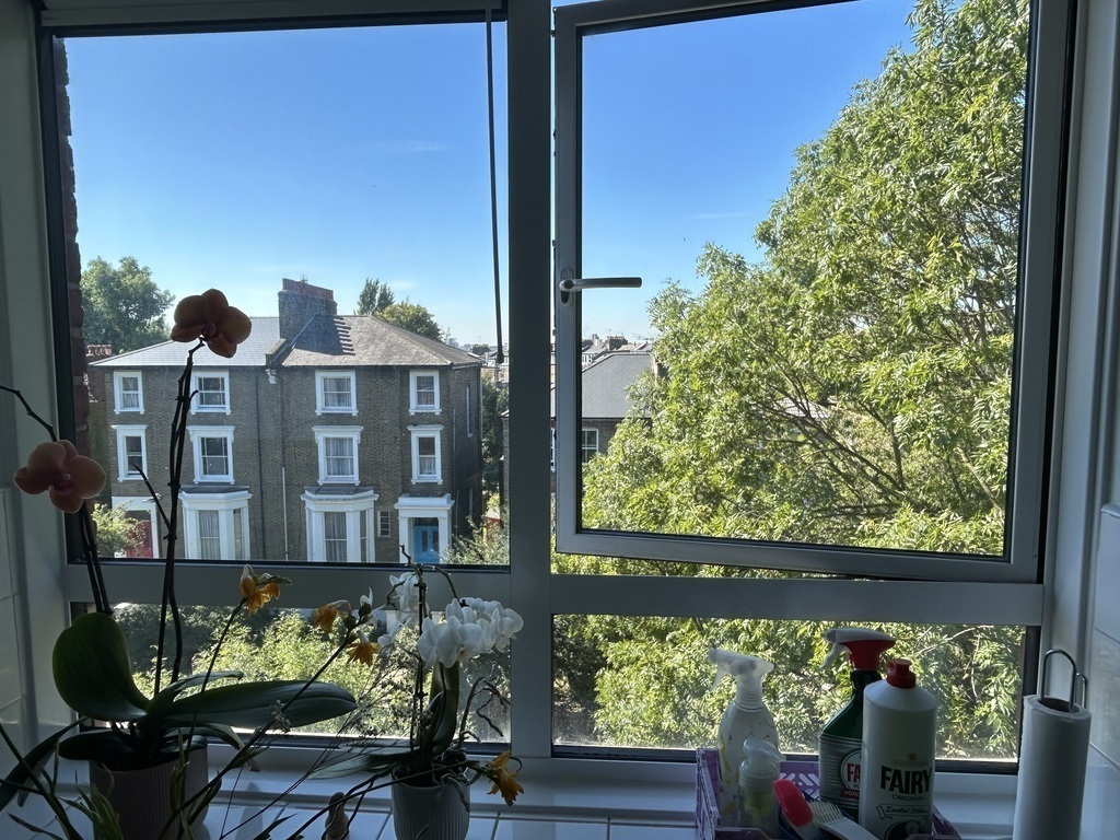 The view from our kitchen window